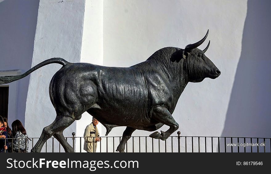 Fence, Bull, Sculpture, Statue