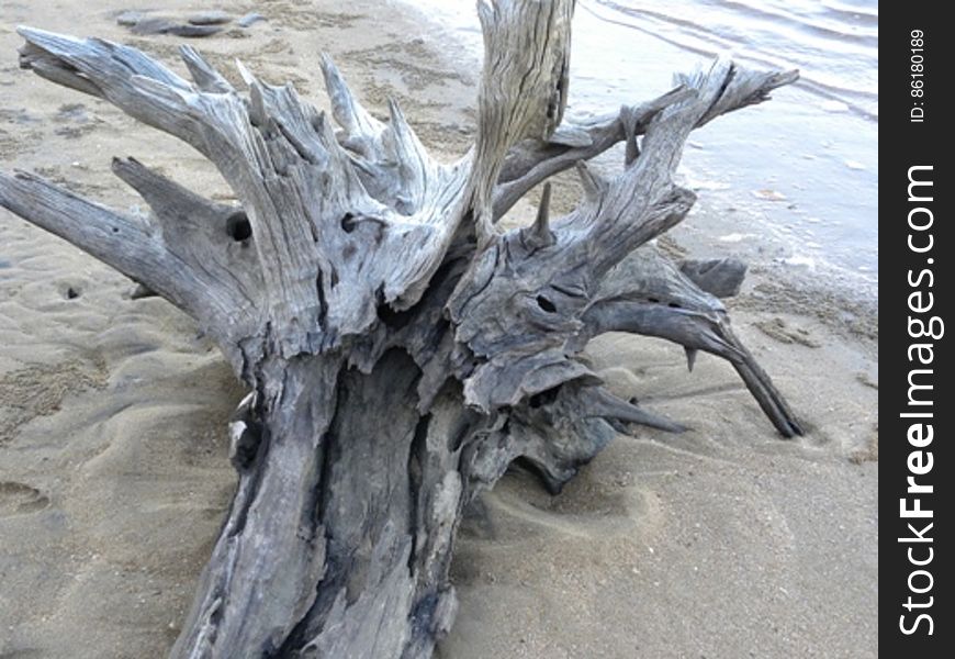 A lone piece of driftwood on a nearby beach.