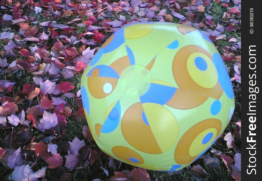 Beach Ball In Autumn Red Leaves