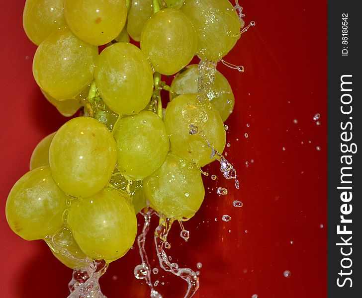 Grape Cluster Under Pouring Water
