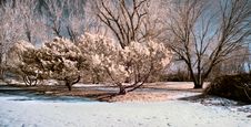 Infrared Landscape Stock Photography Infrared Landscape Stock Photography