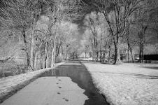 Infrared Landscape Royalty Free Stock Photo Infrared Landscape Royalty Free Stock Photo