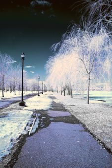 Infrared Landscape Royalty Free Stock Photo Infrared Landscape Royalty Free Stock Photo