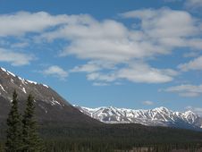 Pair Of Spruce Trees And Alaska Range (Broad Pass) Royalty Free Stock Photos Pair Of Spruce Trees And Alaska Range (Broad Pass) Royalty Free Stock Photos