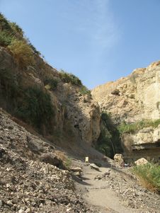 Reserve Engezi By Tht Dead Sea Israel Royalty Free Stock Photography Reserve Engezi By Tht Dead Sea Israel Royalty Free Stock Photography