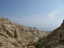 Reserve Engezi  By Tht Dead Sea Israel Royalty Free Stock Photo