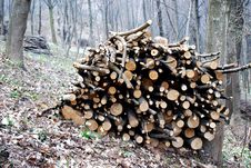 Stacked Logs Royalty Free Stock Photo