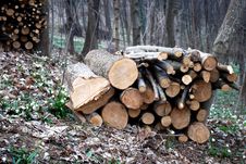 Stacked Logs And Wood Stock Photography Stacked Logs And Wood Stock Photography