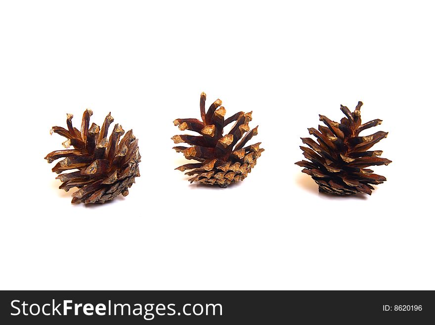 Three pine cones on the white background