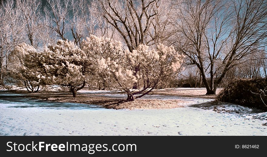 Infrared Landscape