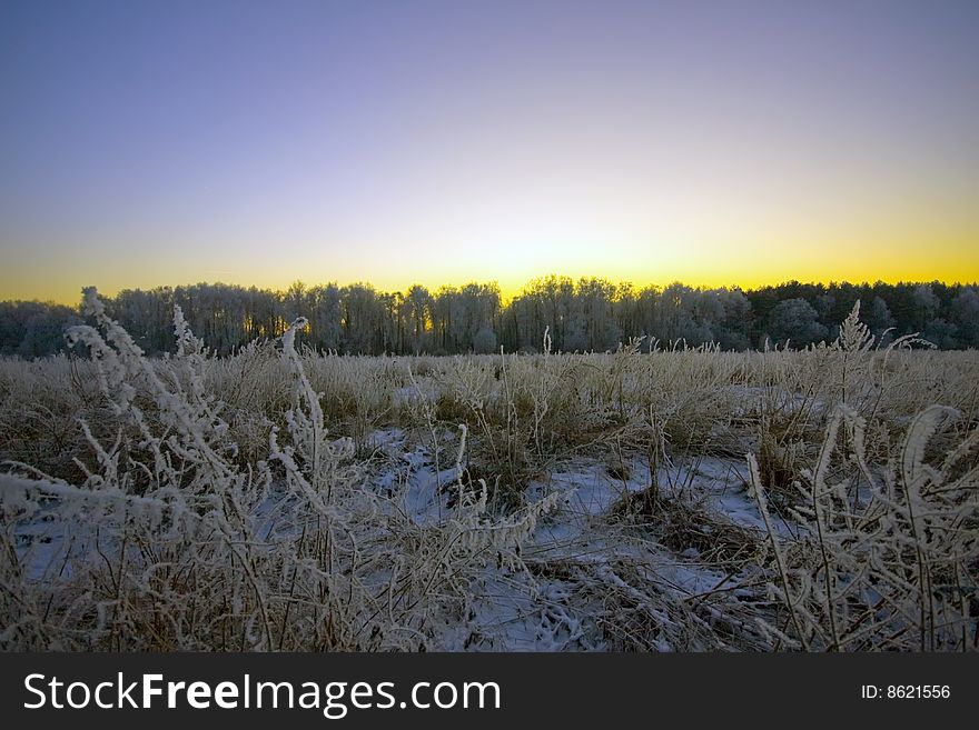 The winter field and forest on the sunset background colors. The winter field and forest on the sunset background colors.