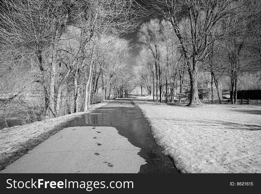 Winter scene shot with an infrared filter. Winter scene shot with an infrared filter