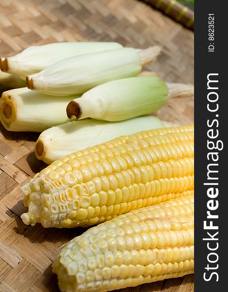 Variety of corn on traditional bamboo tray. Variety of corn on traditional bamboo tray