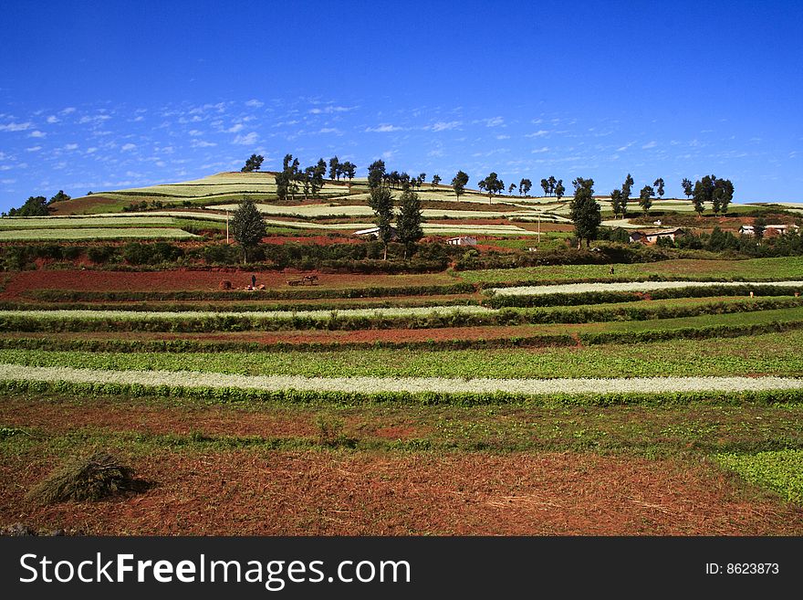 The Red Soil of Dongchuan