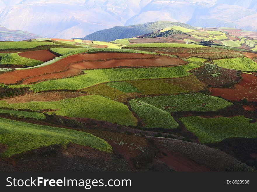 The Red Soil of Dongchuan