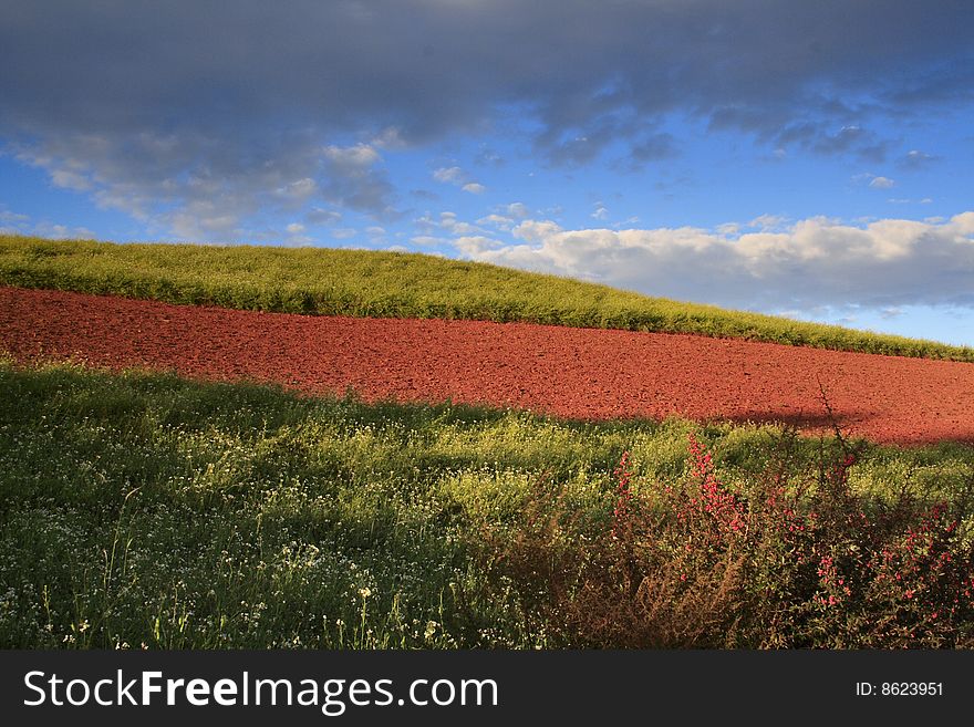 The Red Soil Of Dongchuan