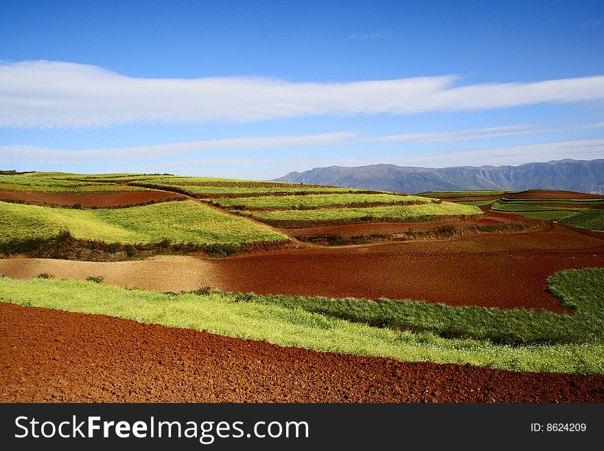 The Red Soil of Dongchuan