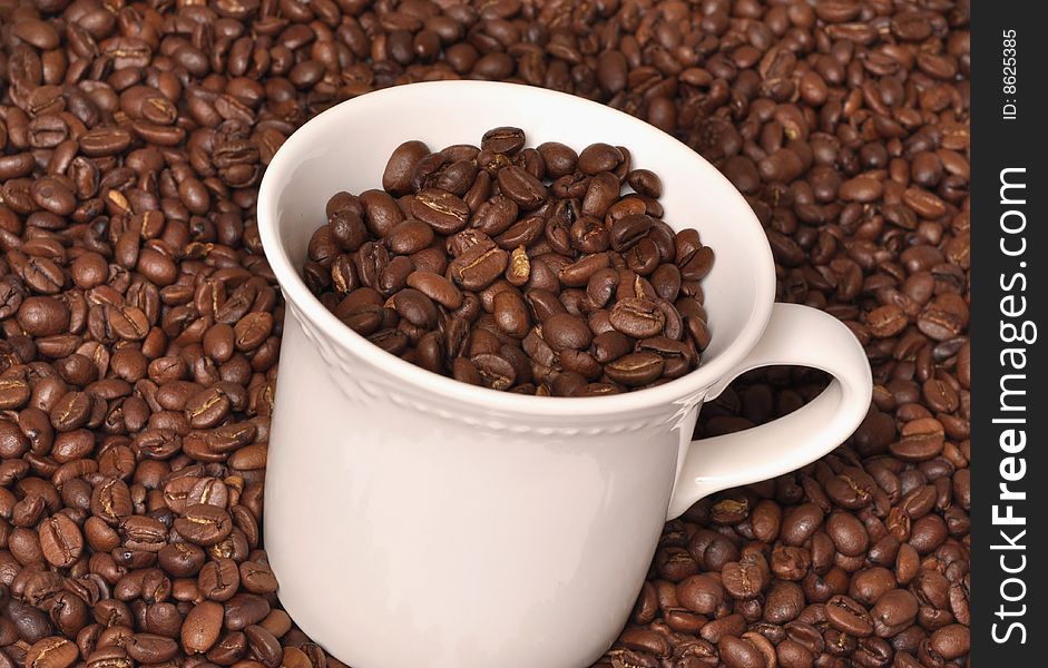 White coffee cup filled with dark roasted beans. White coffee cup filled with dark roasted beans