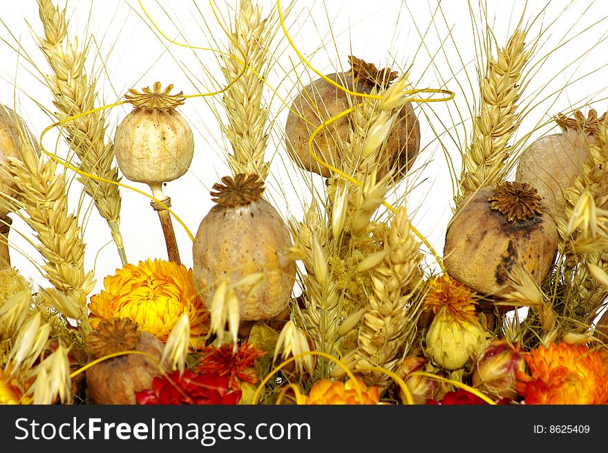 A dry flowers in a potte home decoration