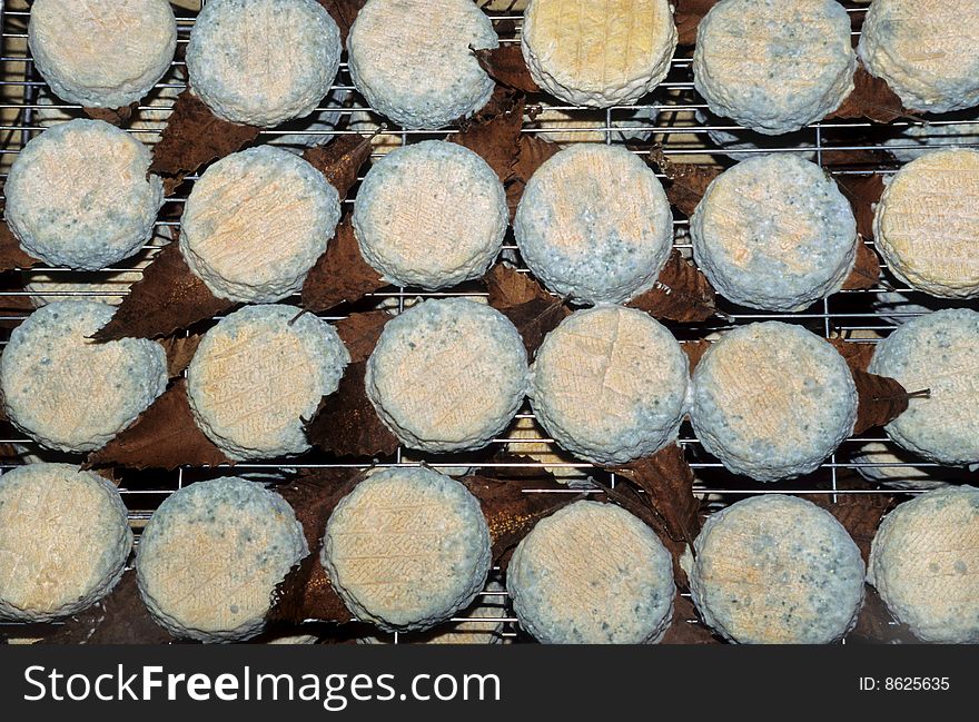 Ripening of goat cheeses of Poitou (France), on leaves of chestnut