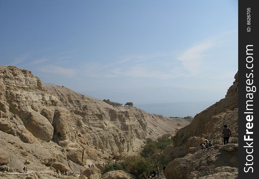 View of reserve engezi  by tht Dead sea Israel