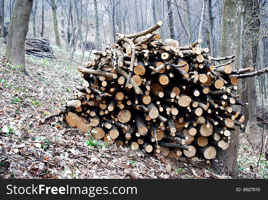 Stacked logs suitable for background in the green forest