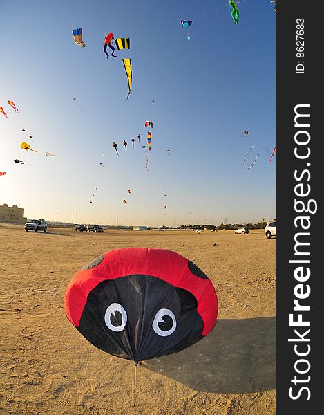 Buhamad Kites Team playing kites in Kuwait beach in winter 2009