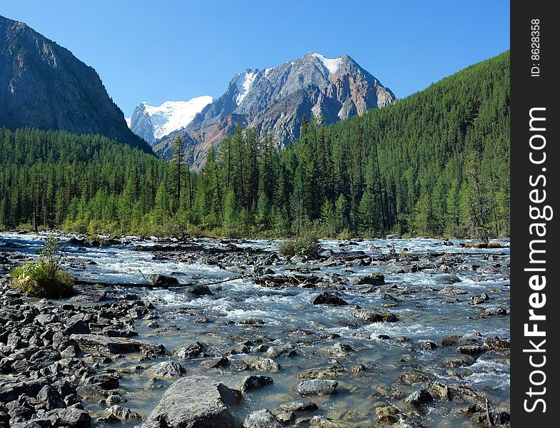 Mountain Altai. The River Shavla.