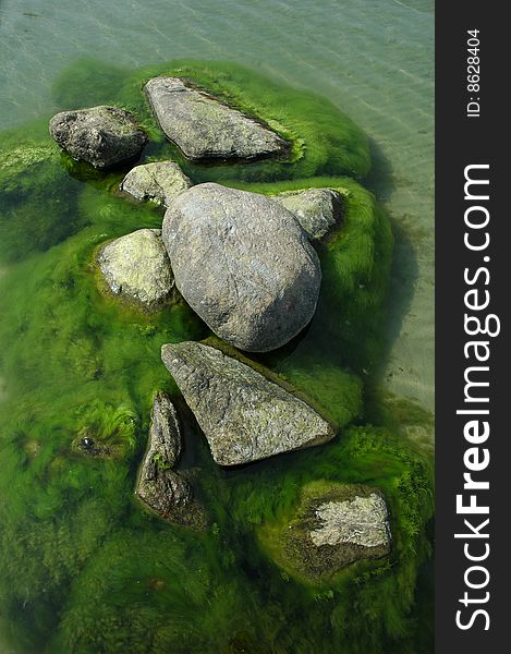 Rocks In Water With Seaweed