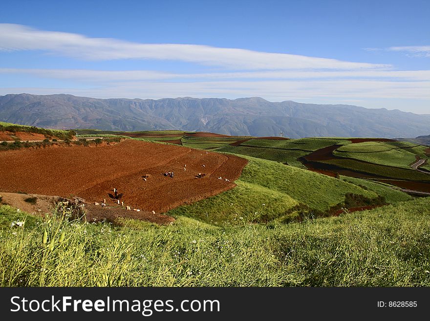 The Red Soil Of Dongchuan