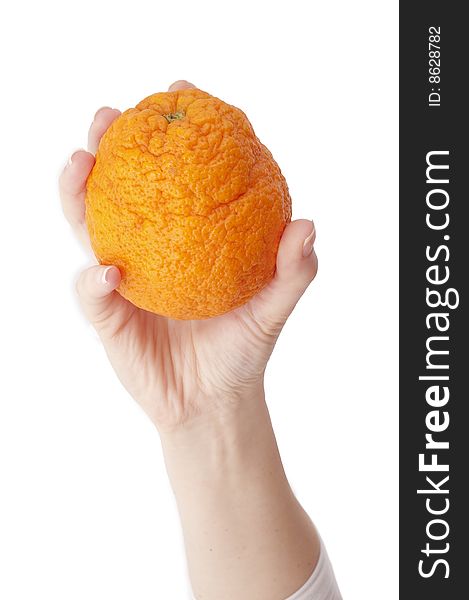 Orange in hand on white background