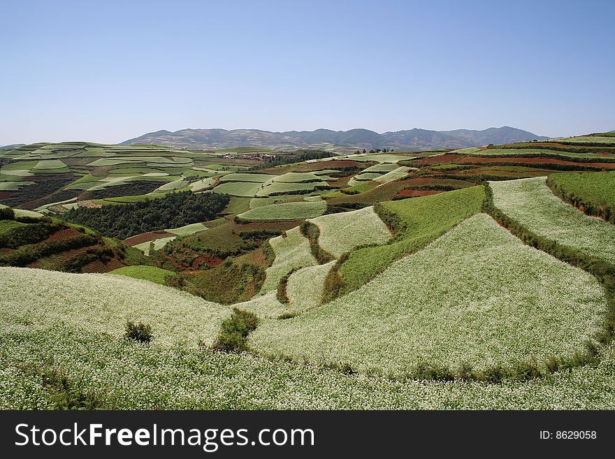 The Red Soil of Dongchuan