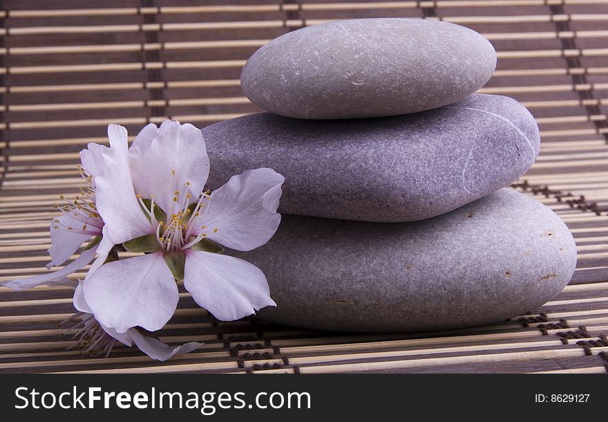 Flower with stones on a wood background