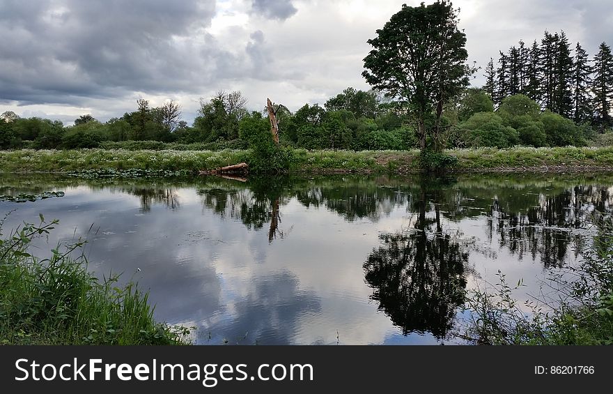 Blue Sky And Trees Reflected On Pond