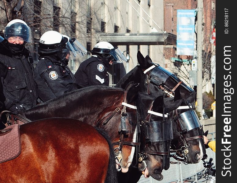 Toronto mounted police champing at the bit.