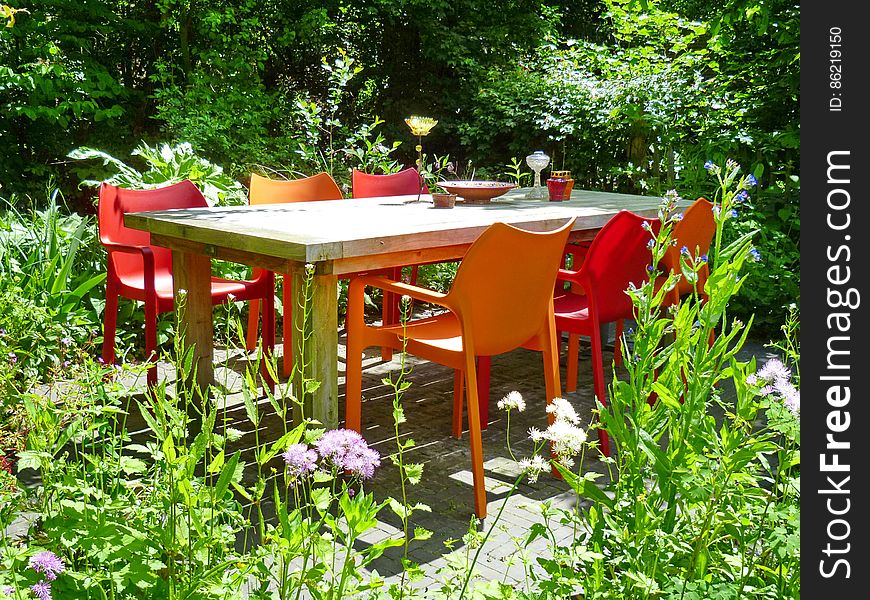 Plant, Property, Plant community, Flower, Table, Outdoor table