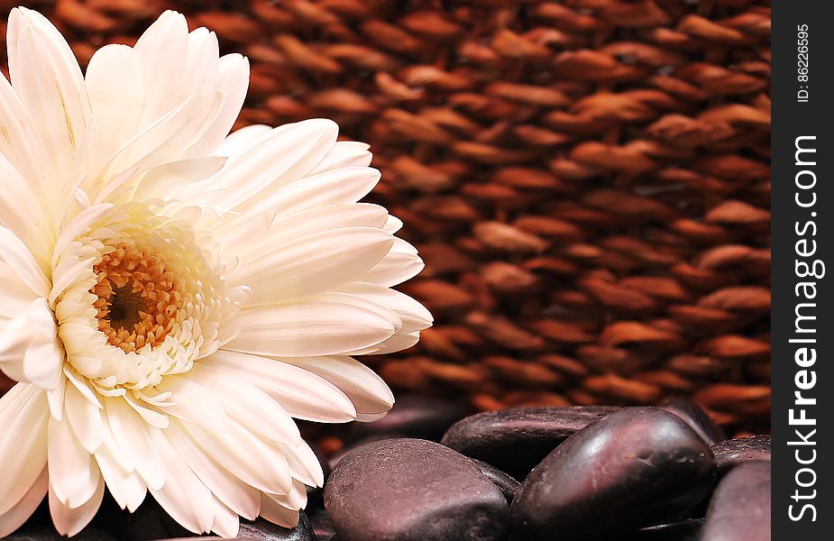Close up of white flower blossom with smooth stones against wicker basket. Close up of white flower blossom with smooth stones against wicker basket.