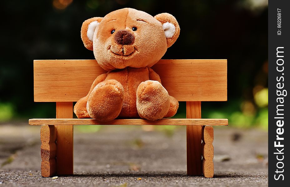 Cute Teddy Bear Sat On A Bench