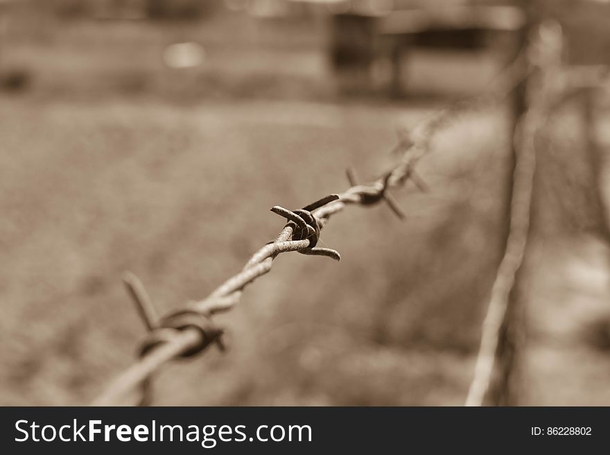 Close-up of Wire Against Blurred Background