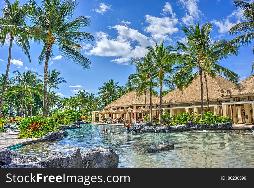 Luxury tropical holiday resort with an outdoor swimming pool surrounded by palm trees. Luxury tropical holiday resort with an outdoor swimming pool surrounded by palm trees.