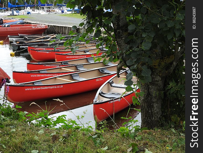 Red Canoes