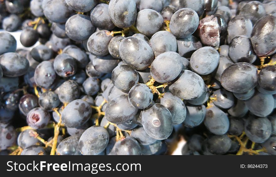 Red grapes contain flavanoids, mostly in the skins.