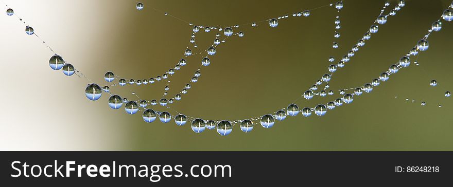 A close up of dew drops on cobweb.