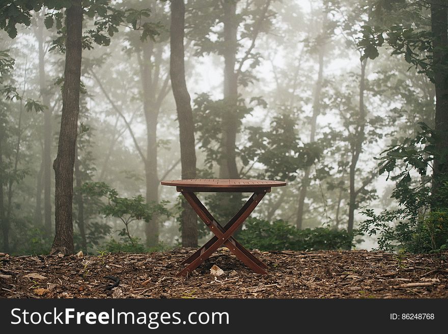 Wooden picnic table on leaves in foggy woods. Wooden picnic table on leaves in foggy woods.
