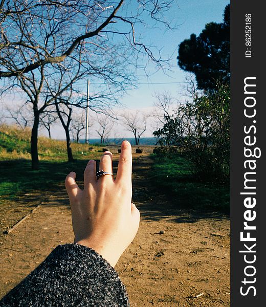 Woman Hand On Bare Tree Against Sky