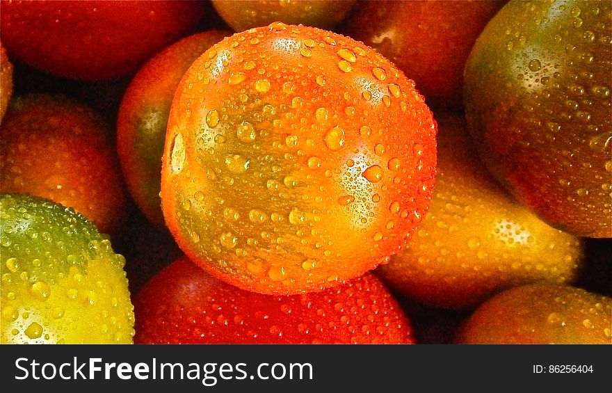 Orange Round Fruit