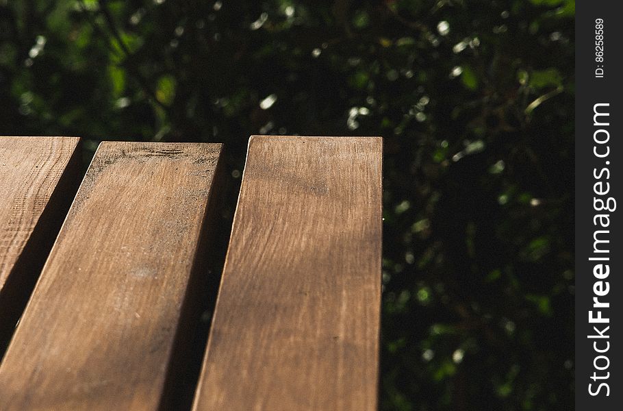Wooden slats of a park bench with green leaves in background.