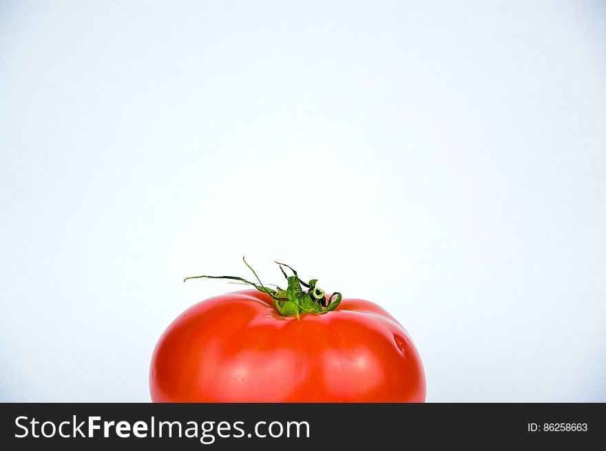 Top of fresh ripe whole red tomato with stem and white space. Top of fresh ripe whole red tomato with stem and white space.