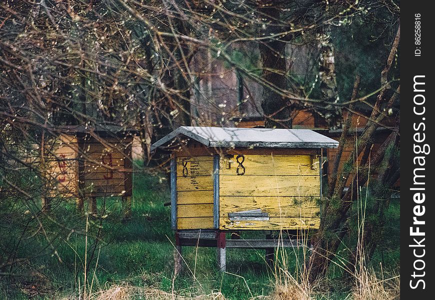 Wooden bee hives in rural field on sunny day.