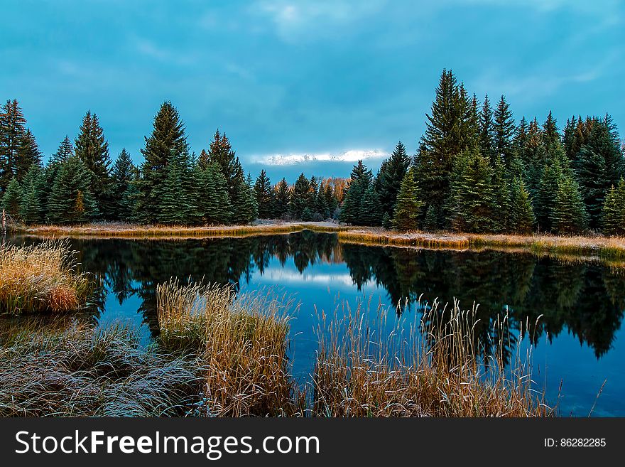 Panoramic View of Lake in Forest